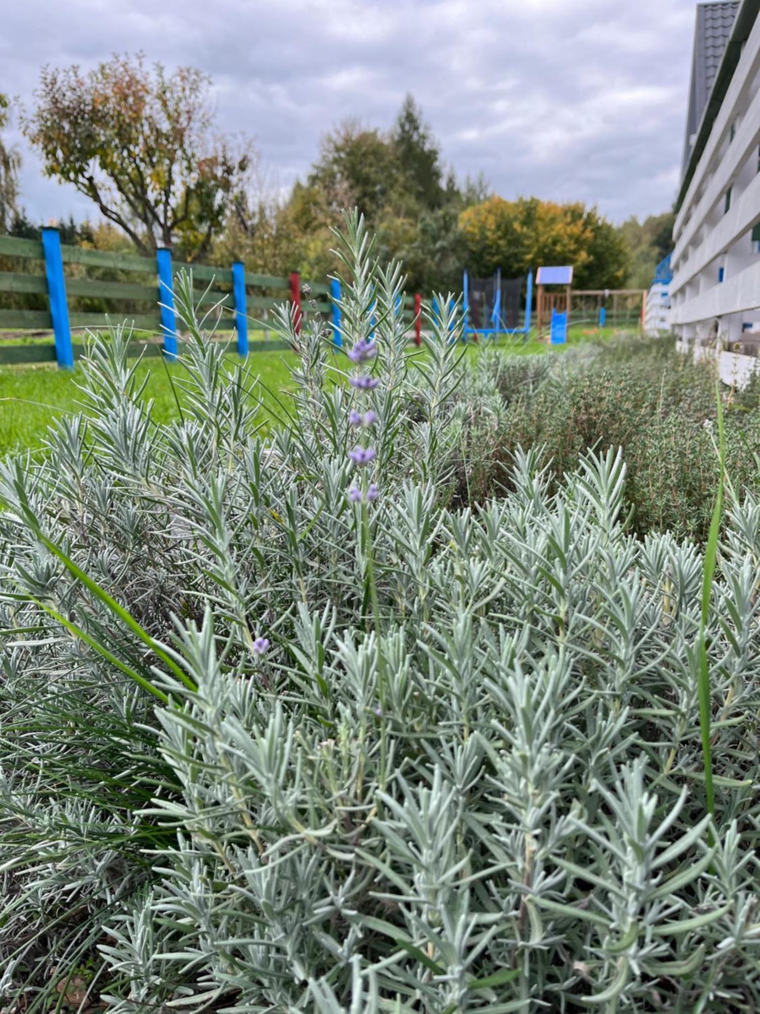 Domki W Dolinie Bobru Siedlecin Экстерьер фото